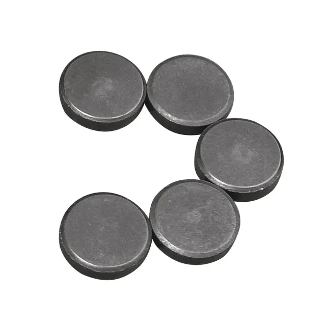 LTC-Leiden ronde magneetjes 20 mm 5 stuks om te lijmen