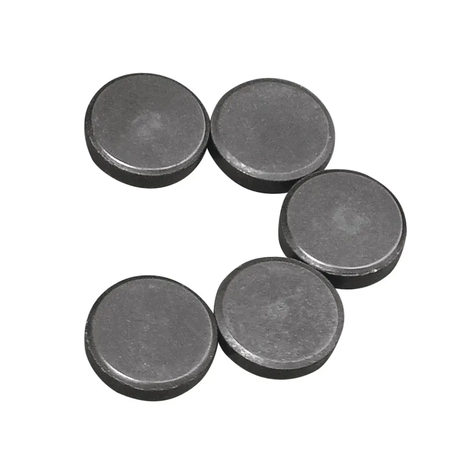 LTC-Leiden ronde magneetjes 20 mm 5 stuks om te lijmen