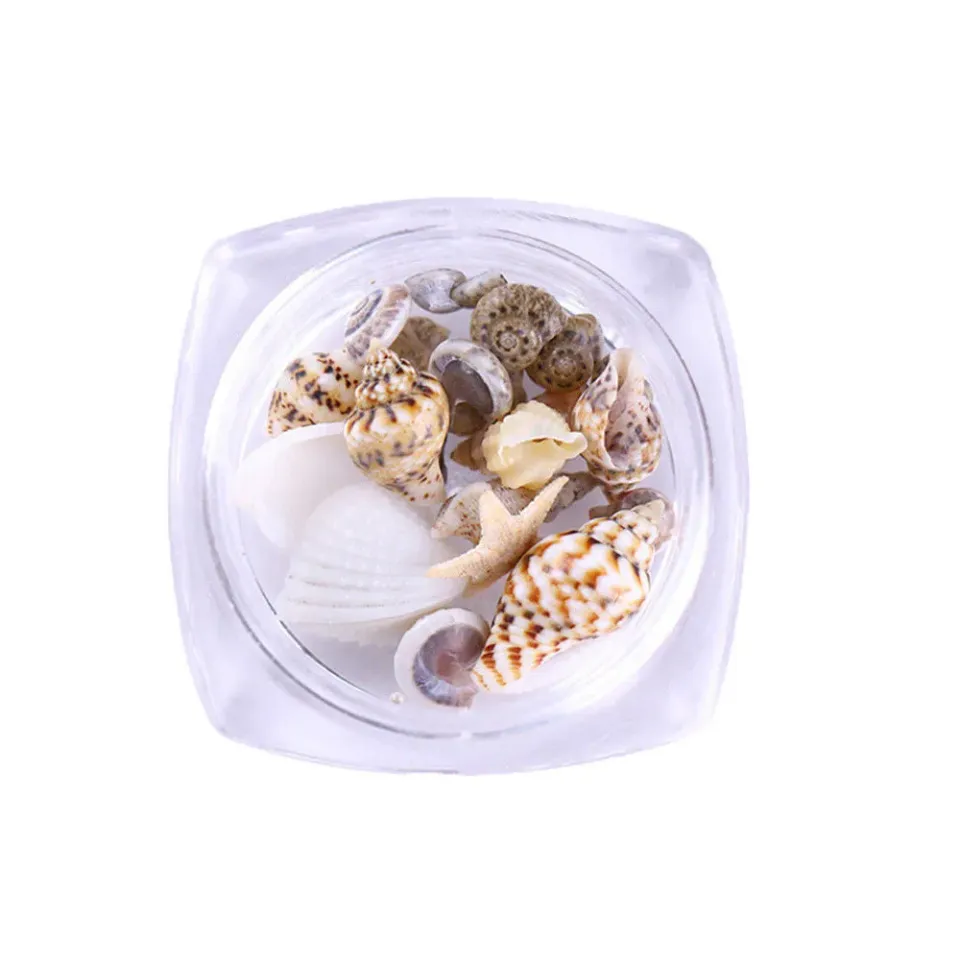 Bijounique Schelpjes decoratie box natuurlijk met zeester