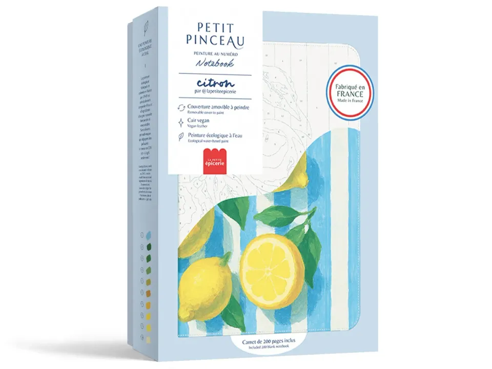 Petit Pinceau Citrons notebook schilderen op nummer A5