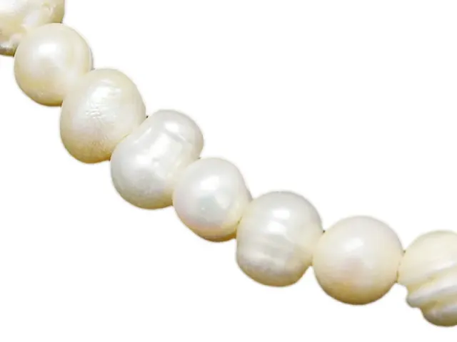 La Petite Epicerie cultuurparels zaadvorm wit 5mm 20 stuks