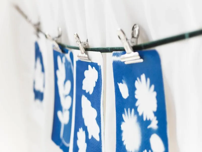 La Petite Epicerie cyanotype pakket blauwdruk DIY set