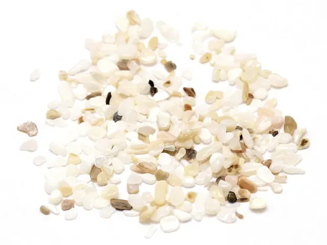 La Petite Epicerie schelpfragmenten Jesmonite 50 gram 2-3 mm