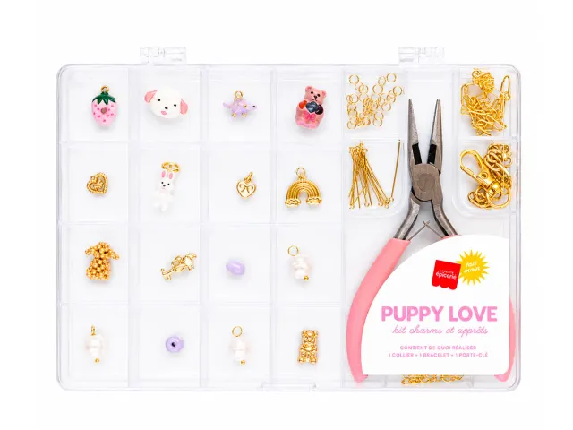 La Petite Epicerie Puppy Love sieradenkit met tang goudkleurig