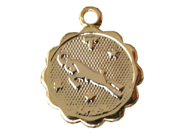 La Petite Epicerie Bijoux Magiques Ram bedel verguld 1,2 cm
