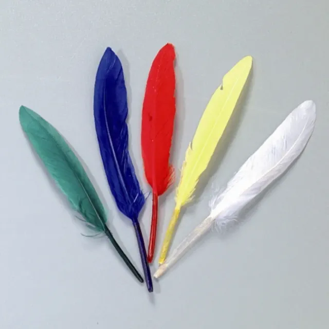 LTC-Leiden indianenveren 12-15 cm assortiment 20 stuks