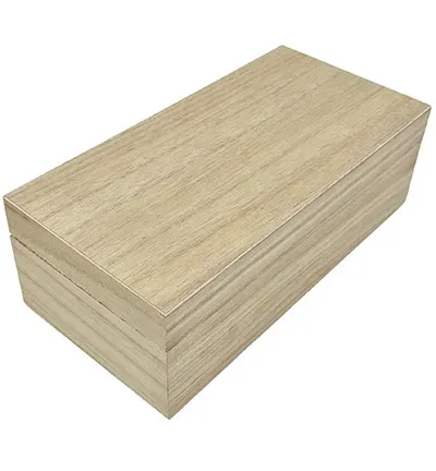 Astrid Brouwers Houten kist rechthoekig deksel 21 cm