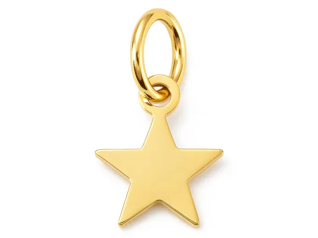 La Petite Epicerie bedel ster goud RVS 7 mm met ring