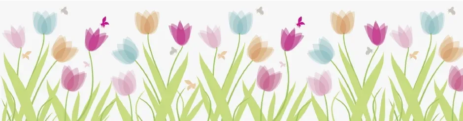 LTC-Leiden raamtape tulpen 2 m x 76 mm verwijderbaar