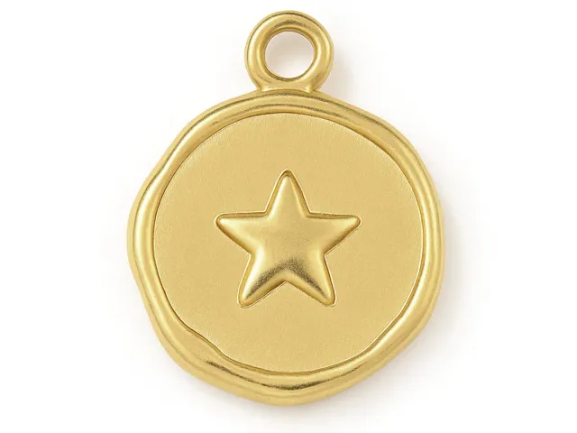 La Petite Epicerie hanger rond ster rvs goud 16 mm per stuk