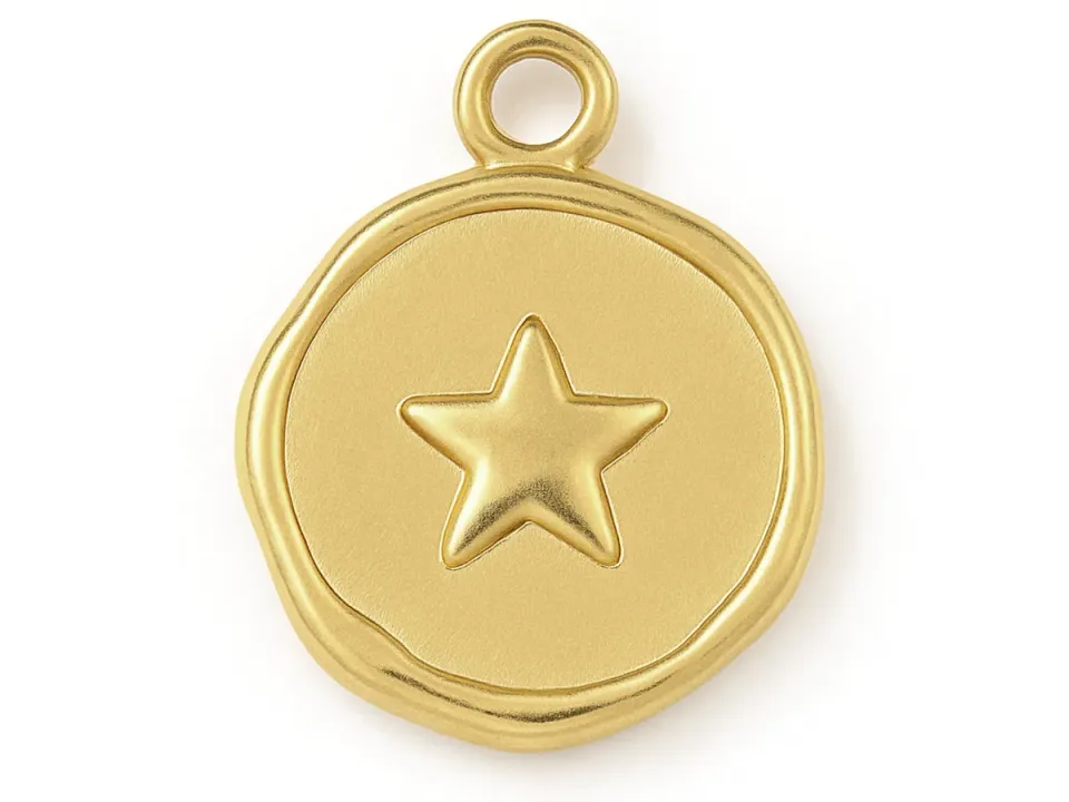 La Petite Epicerie hanger rond ster rvs goud 16 mm per stuk