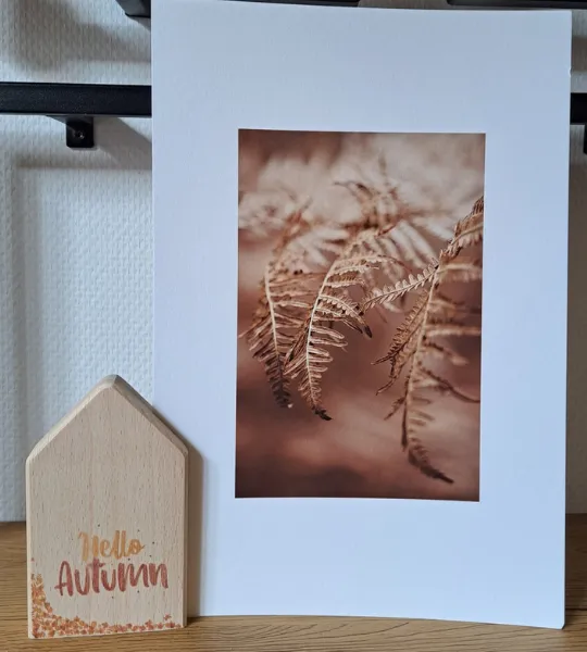 Astrid Brouwers fotoblok huis DIY pakket met transfermarker