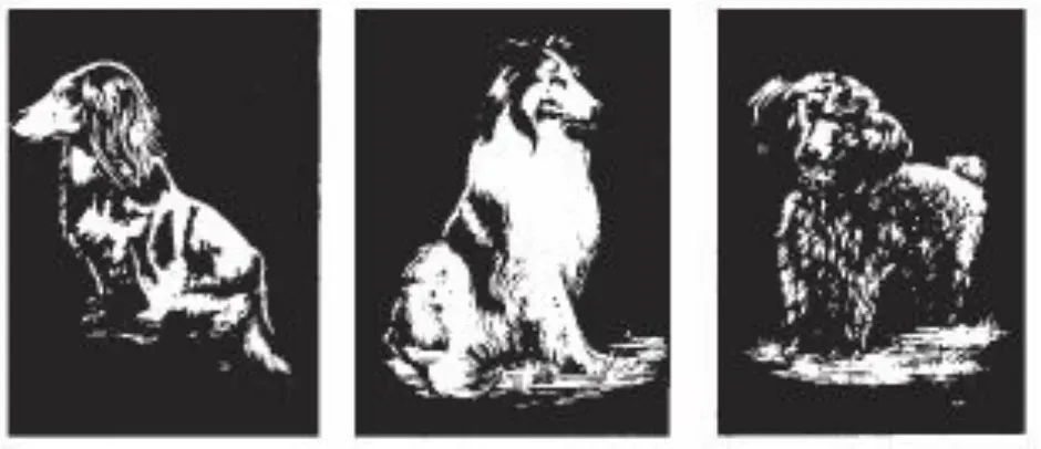 LTC-Leiden kraskaarten honden B krasfolie 3 stuks