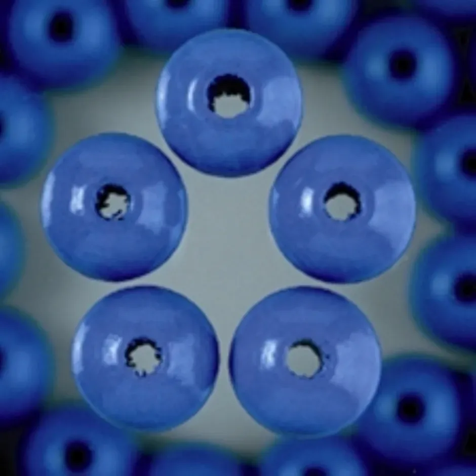 LTC-Leiden Houten kralen rond blauw 10 mm 50 stuks