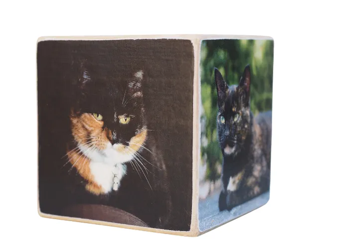 Astrid Brouwers DIY pakket onderzetters hout 4 stuks