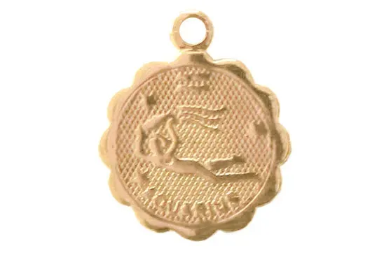 La Petite Epicerie Verseau hanger verguld sterrenbeeld Waterman