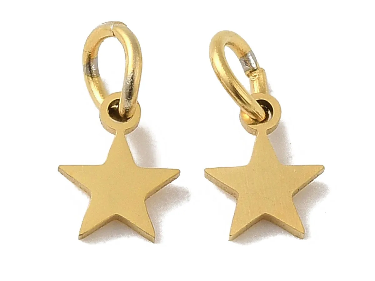 La Petite Epicerie bedel ster goud RVS 7 mm met ring