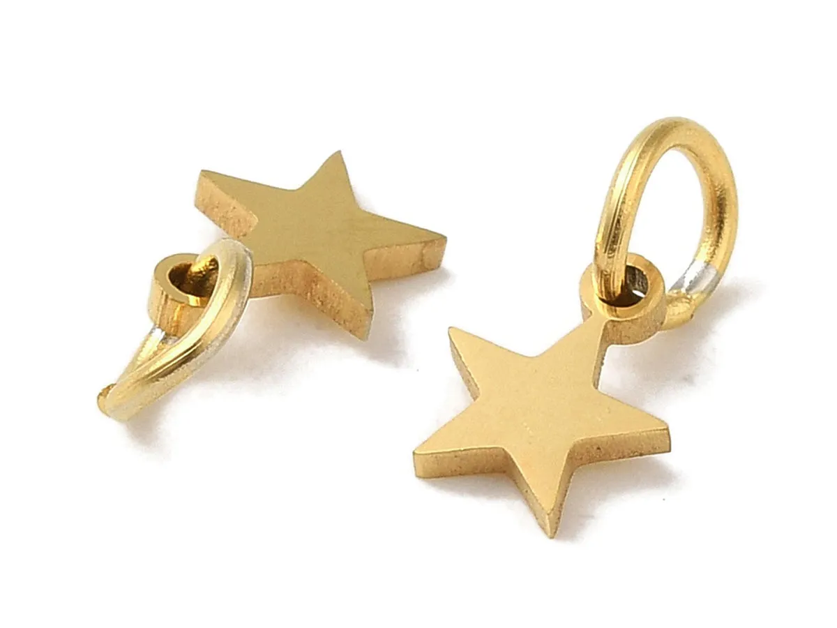 La Petite Epicerie bedel ster goud RVS 7 mm met ring