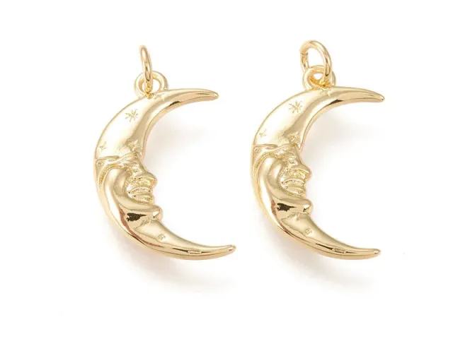 La Petite Epicerie Maan hanger goud 20 mm 18k verguld