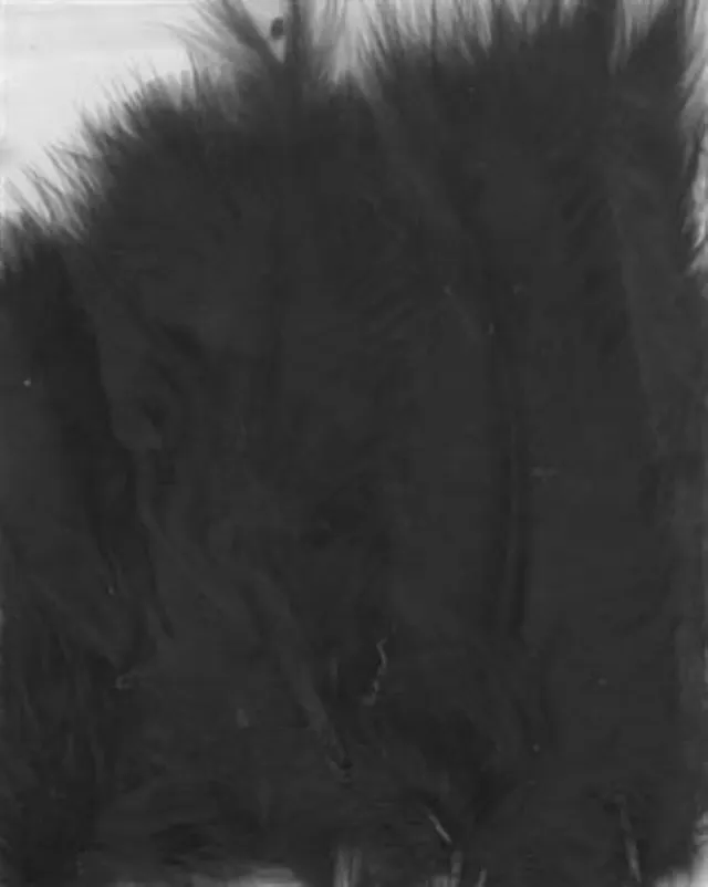 LTC-Leiden Marabou donsveren zwart 10-12 cm 15 stuks