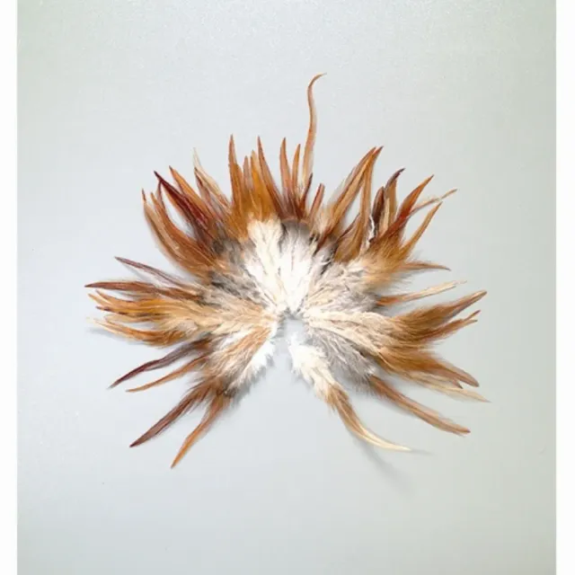 LTC-Leiden hanenveren naturel 4-8 cm 3 gram