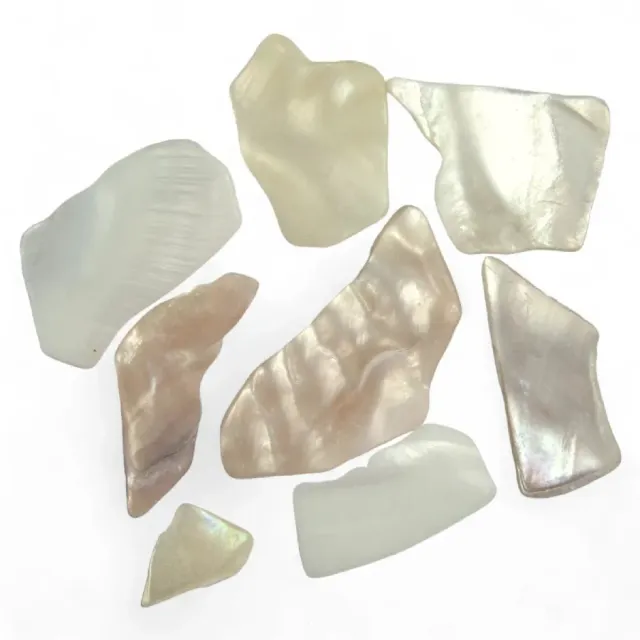 LTC-Leiden Parelmoermozaiek polygonaal 50 gram glans