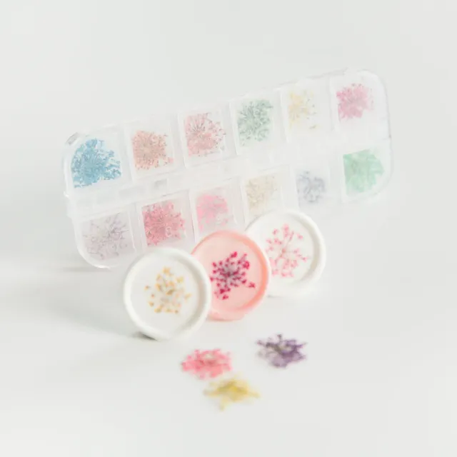 Jessy at Sea Spring Flowers droogbloemen 24 stuks mini